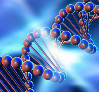 [Genetics FY] Практический курс по детоксу эстроге_0.png